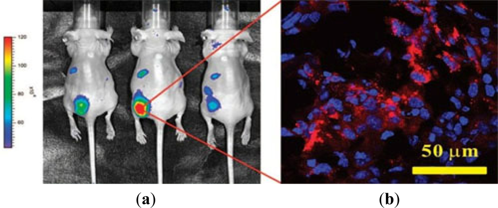 Sensors 11 11736f3 1024