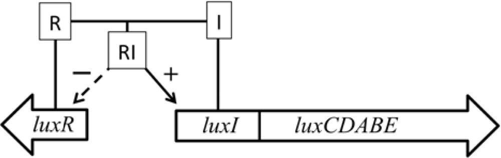 Sensors 12 00732f2 1024