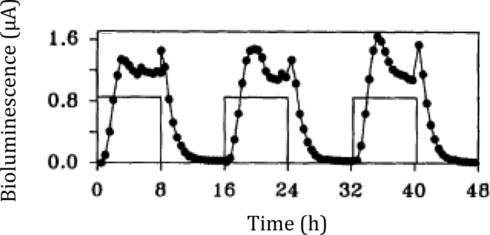 Sensors 12 00732f4 1024