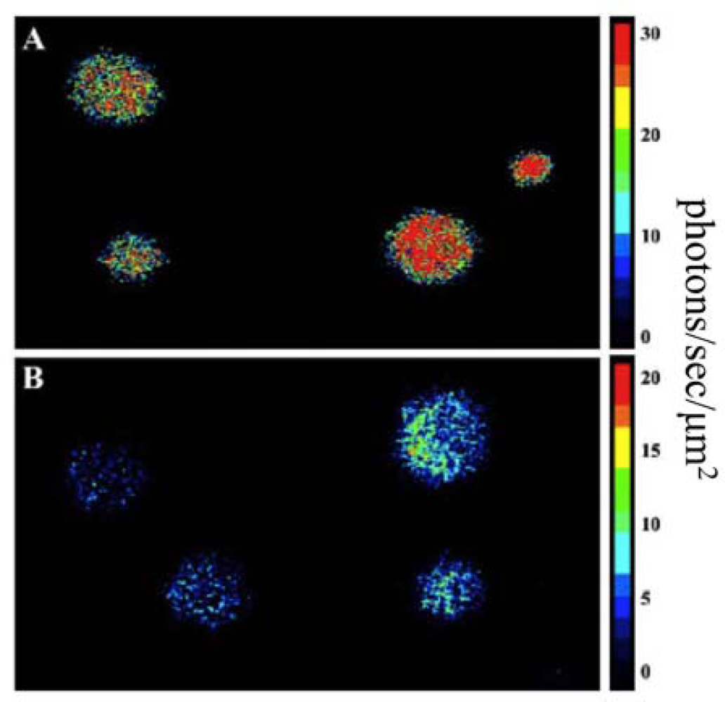 Sensors 12 00732f5 1024