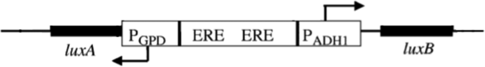 Sensors 12 00732f6 1024