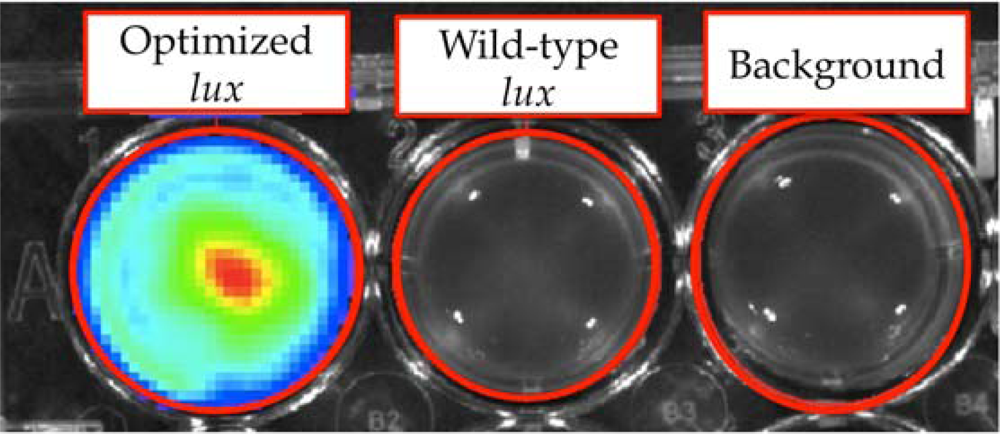 Sensors 12 00732f8 1024