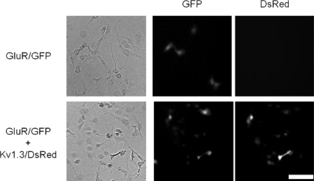 Sensors 12 01035f3 1024