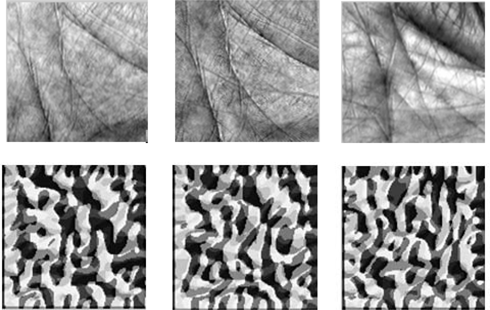Sensors 12 01482f6 1024