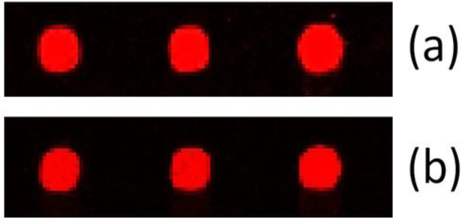 Sensors 12 01494f5 1024