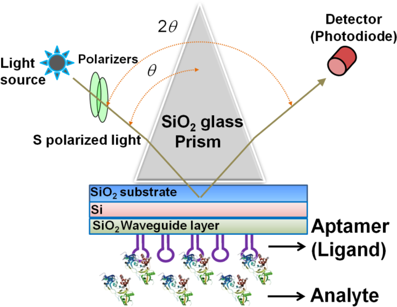 Sensors 12 02136f1 1024