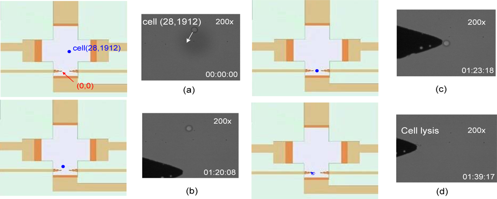 Sensors 12 02400f9 1024