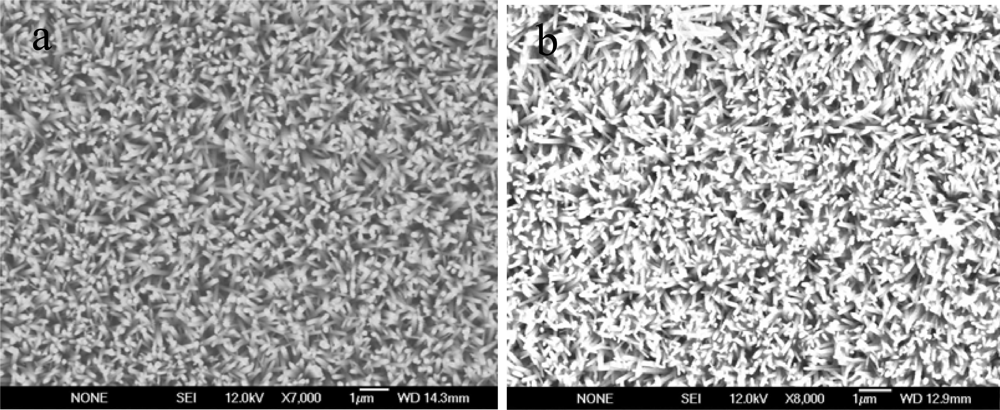 Sensors 12 02456f1 1024