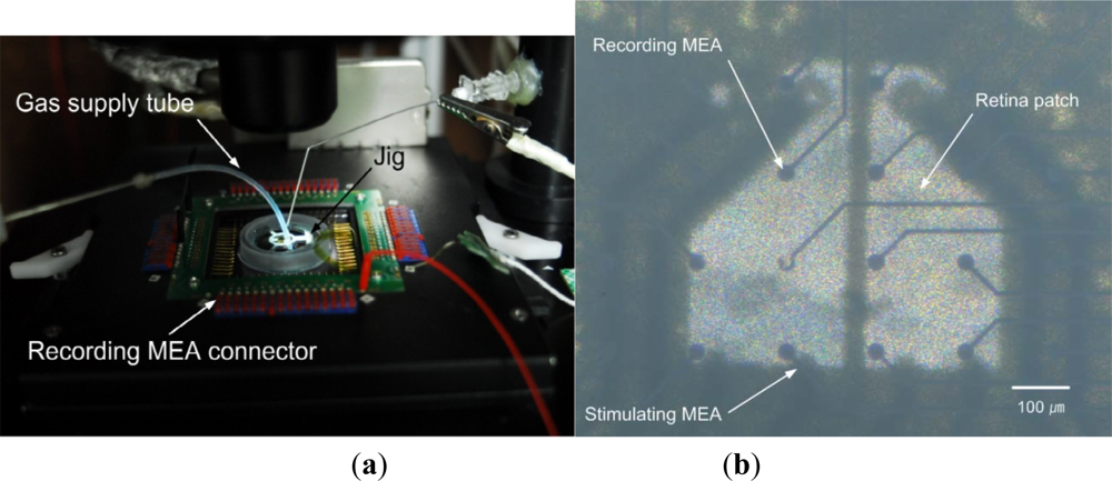 Sensors 12 03131f3 1024