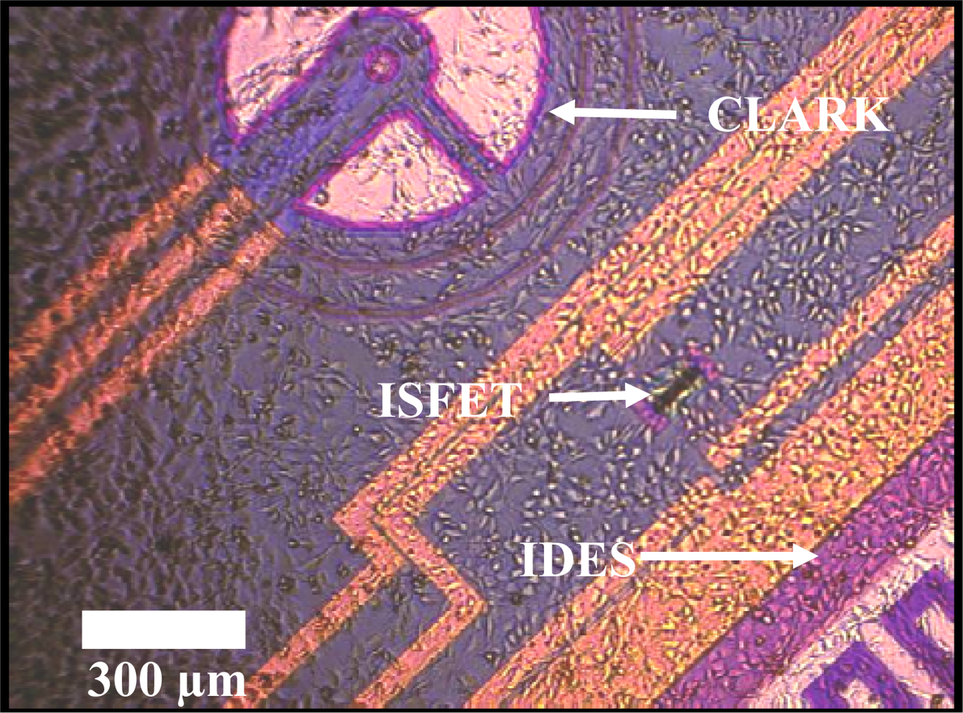 Sensors 12 03370f1 1024