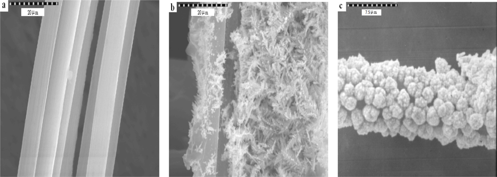 Sensors 12 03562f8 1024