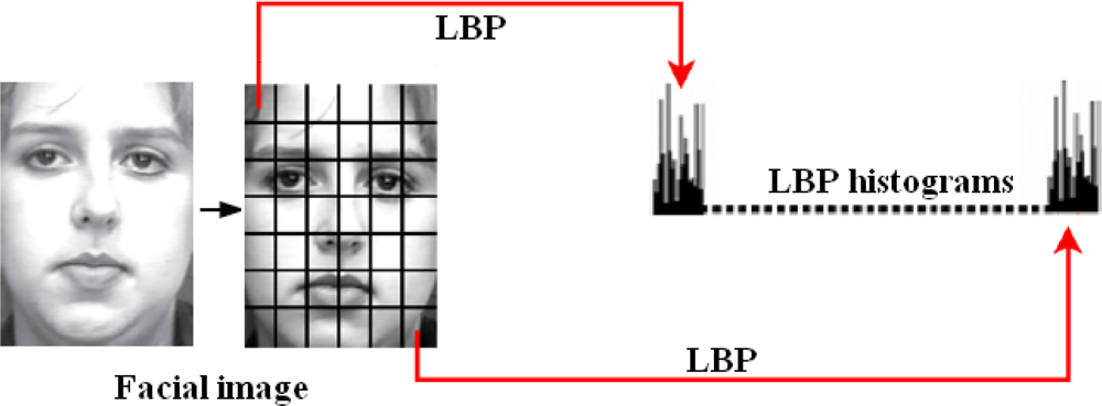 Sensors 12 03747f2 1024