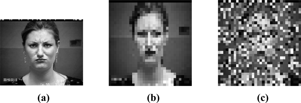 Sensors 12 03747f5 1024