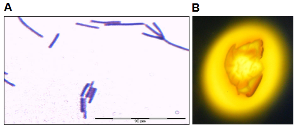 Sensors 12 04065f1 1024