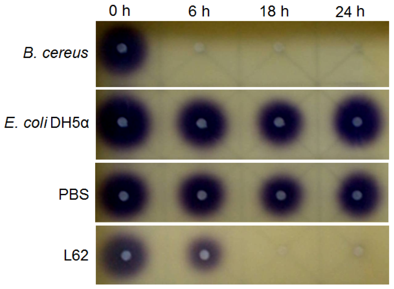 Sensors 12 04065f3 1024