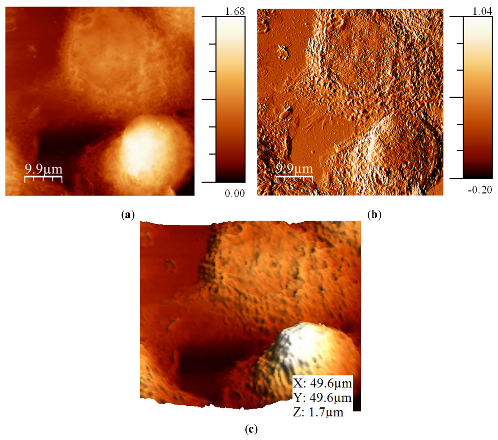 Sensors 12 04803f10 1024
