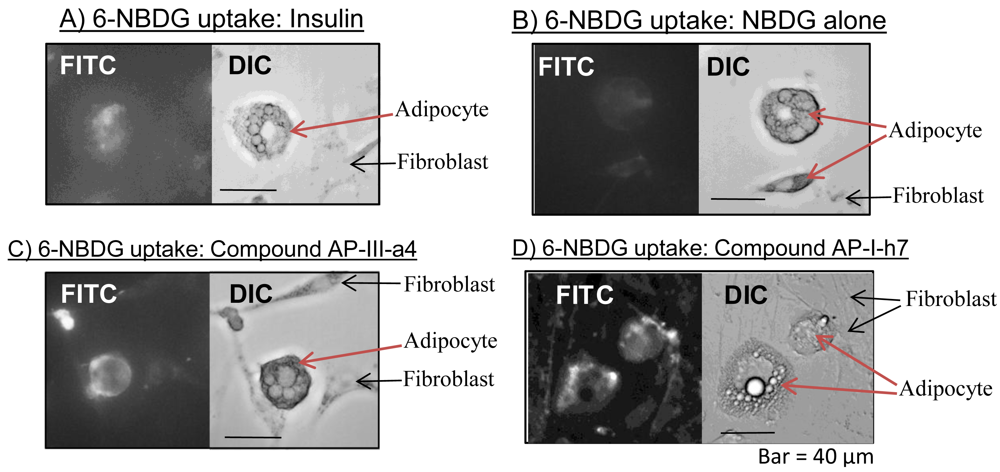 Sensors 12 05005f3 1024