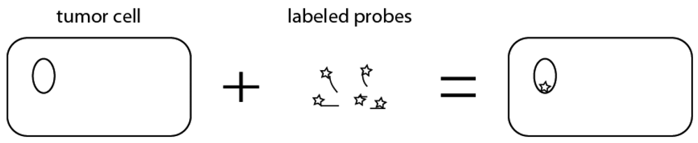 Sensors 12 05159f2 1024