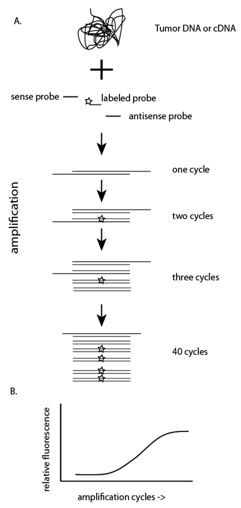 Sensors 12 05159f3 1024