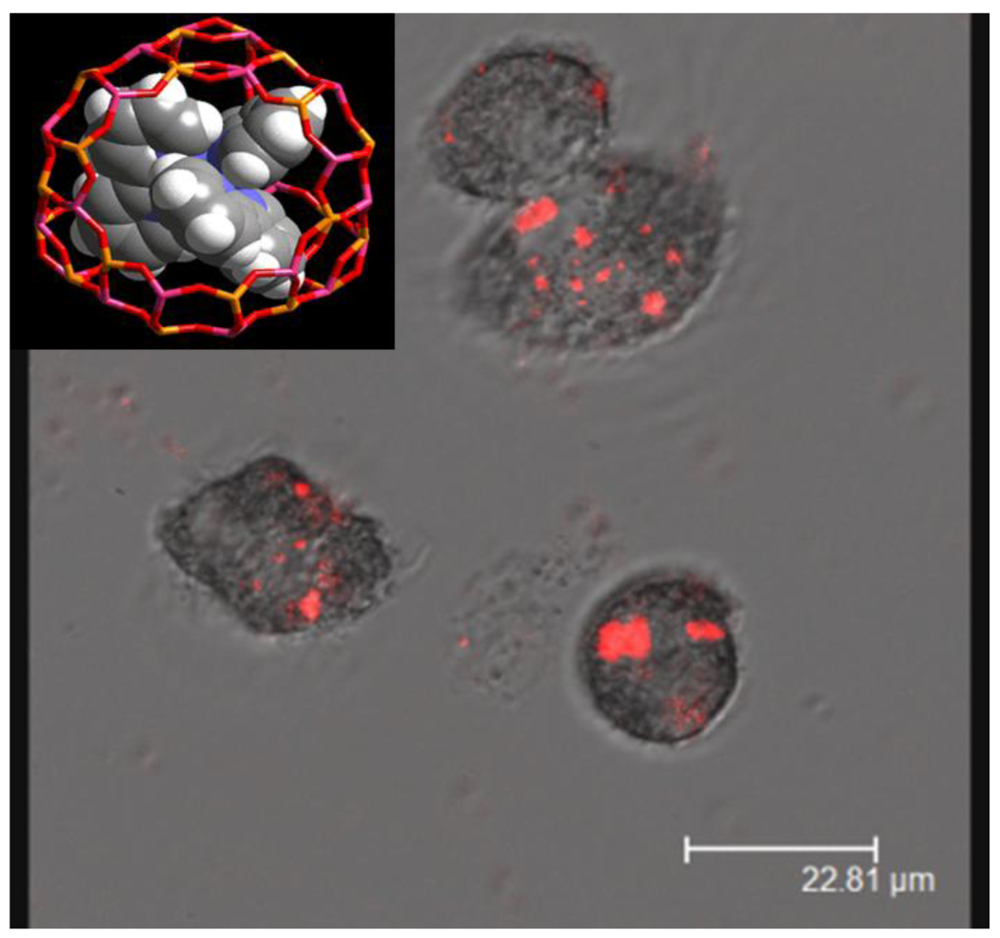 Sensors 12 05170f13 1024