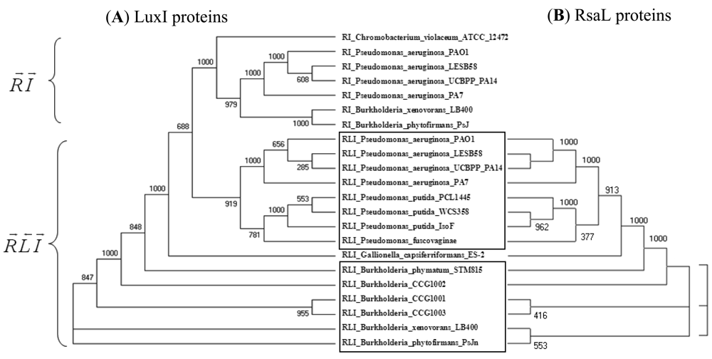 Sensors 12 05432f2 1024