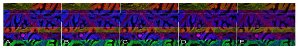 Sensors 12 05461f2 1024