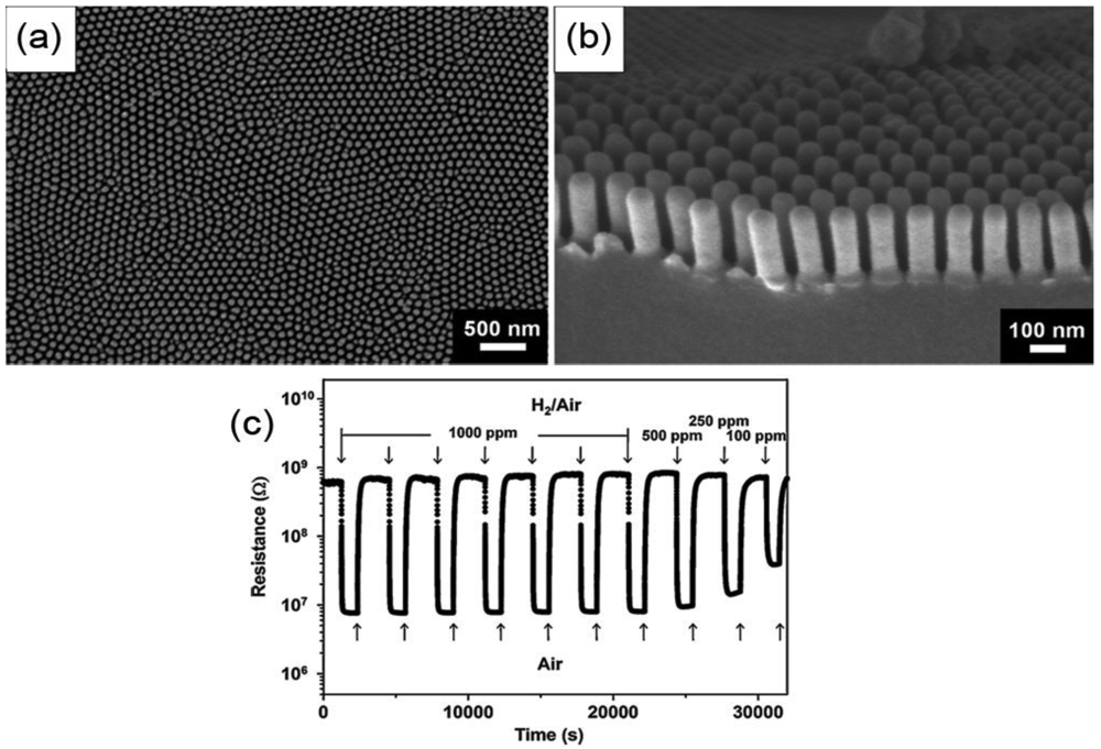 Sensors 12 05517f15 1024