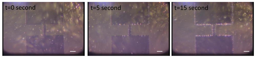 Sensors 12 05725f4 1024