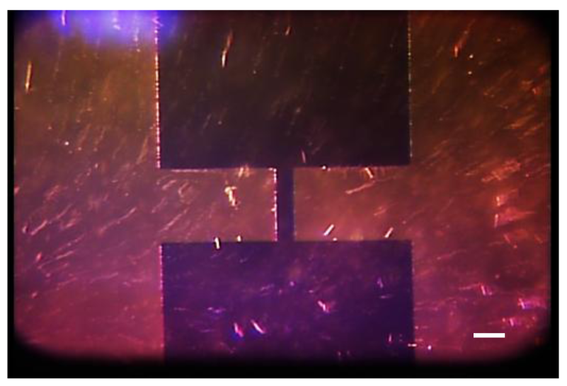 Sensors 12 05725f6 1024