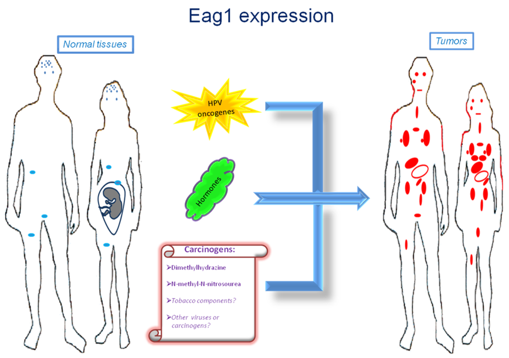 Sensors 12 05986f1 1024