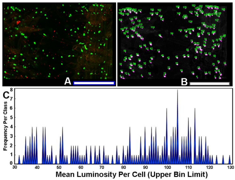 Sensors 12 07047f8 1024