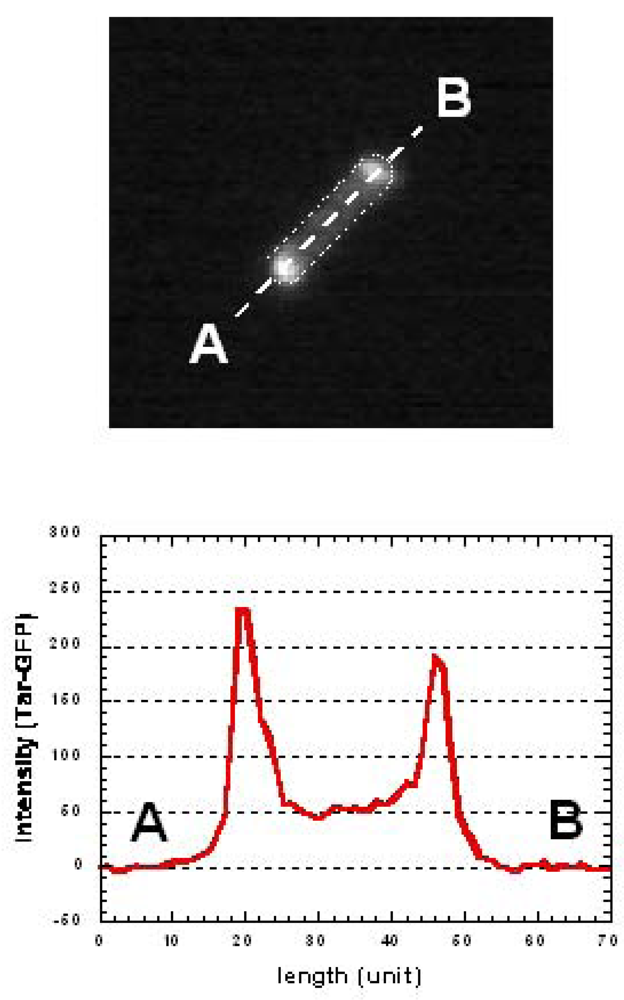 Sensors 12 07169f14 1024
