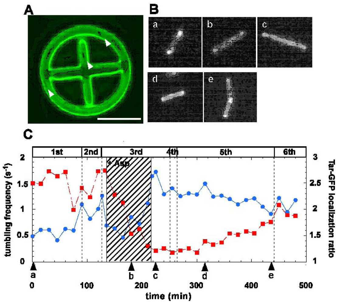 Sensors 12 07169f15 1024