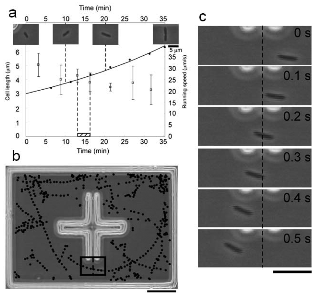 Sensors 12 07169f16 1024