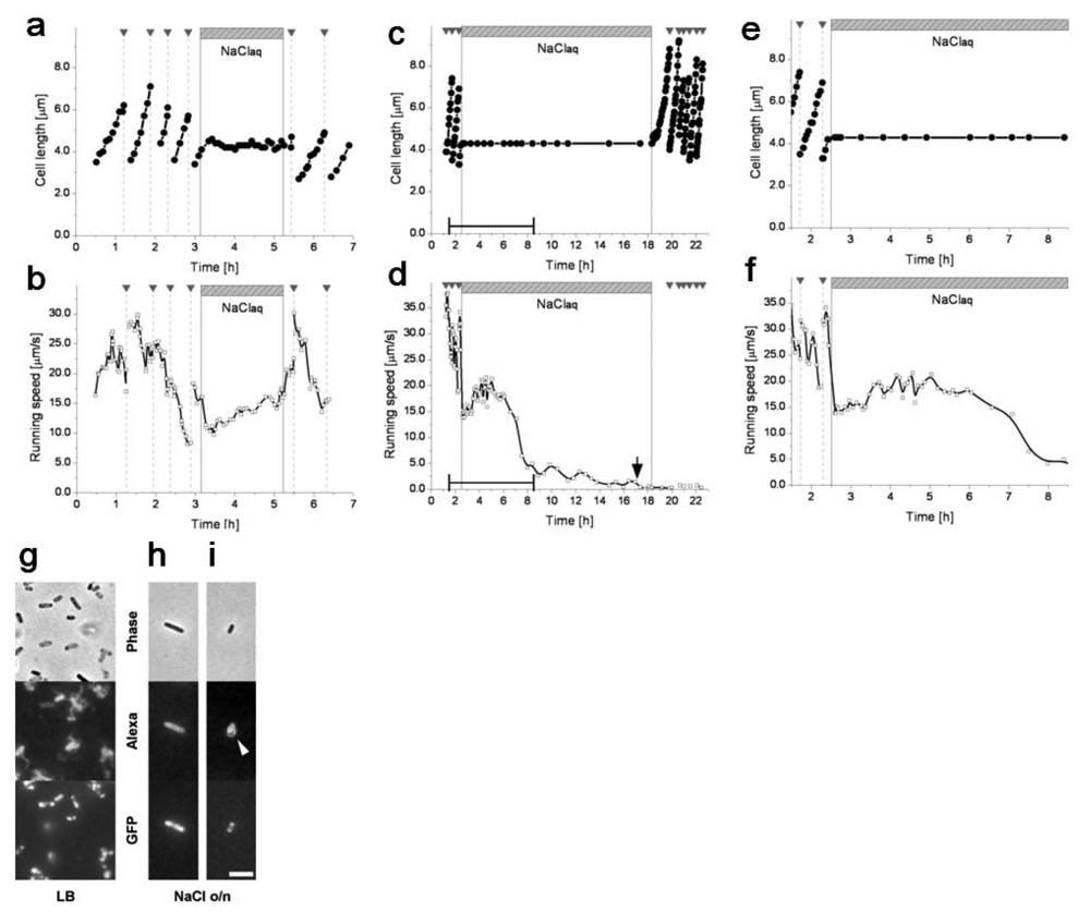 Sensors 12 07169f18 1024