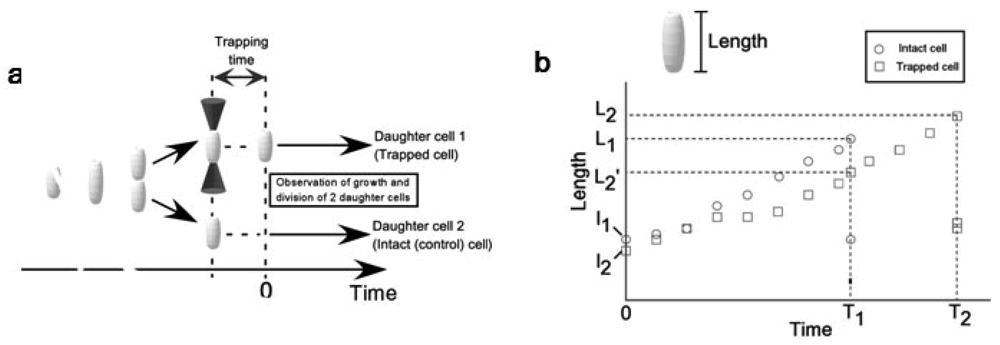Sensors 12 07169f22 1024