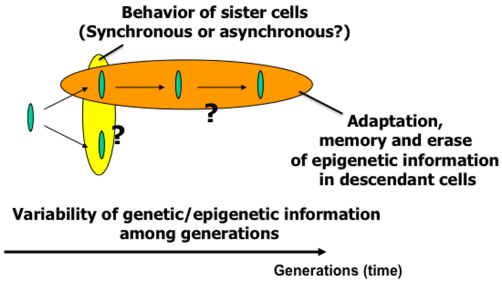 Sensors 12 07169f3 1024