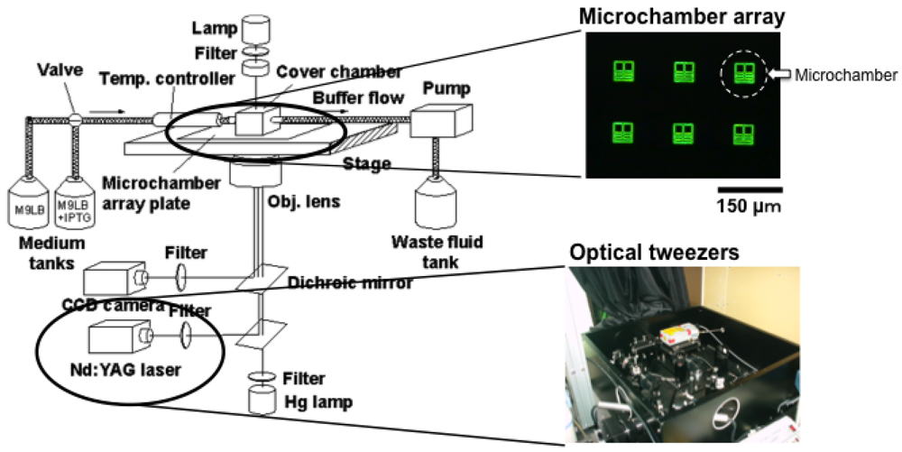 Sensors 12 07169f6 1024