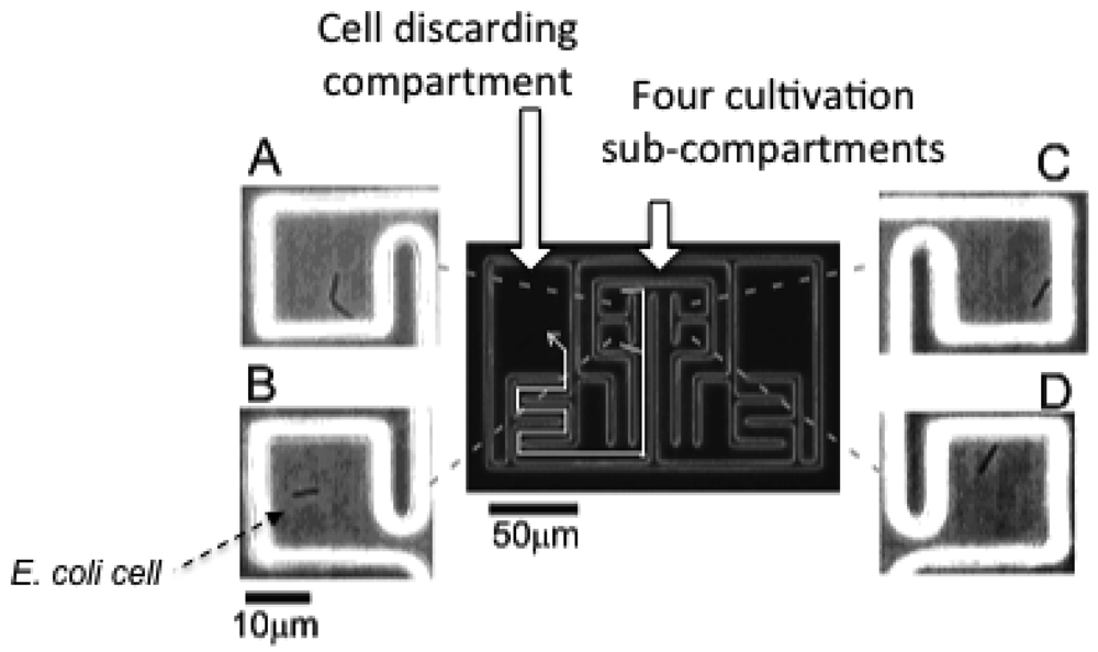 Sensors 12 07169f7 1024