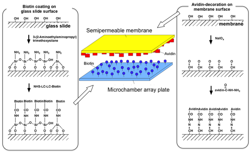 Sensors 12 07169f8 1024