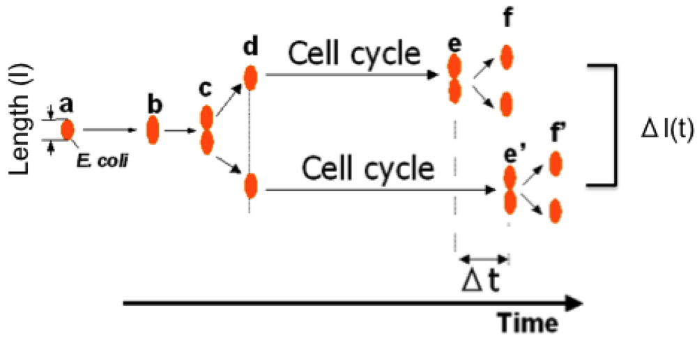 Sensors 12 07169f9 1024