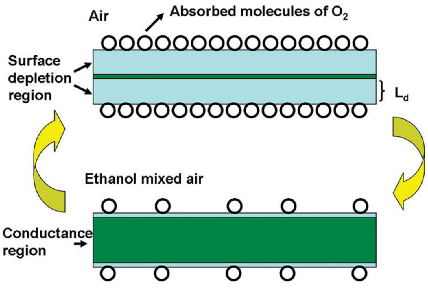 Sensors 12 07207f11 1024