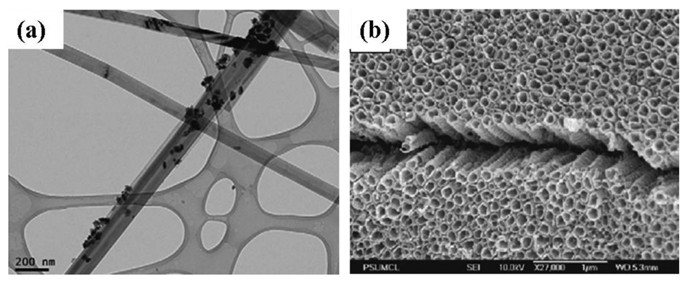 Sensors 12 07207f8 1024