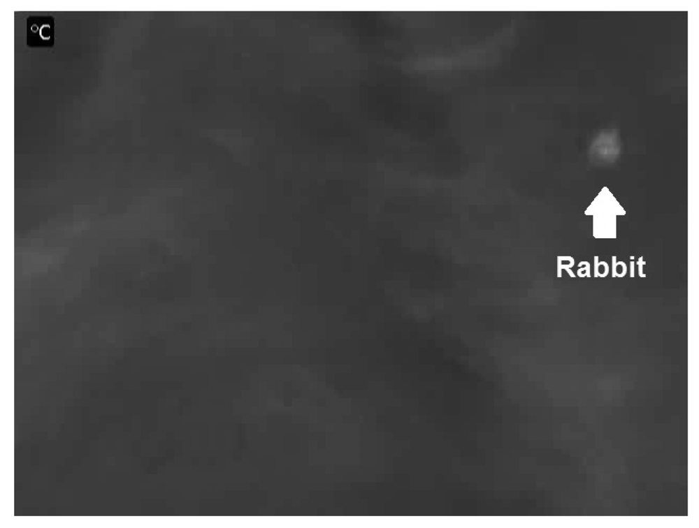 Sensors 12 07587f2 1024