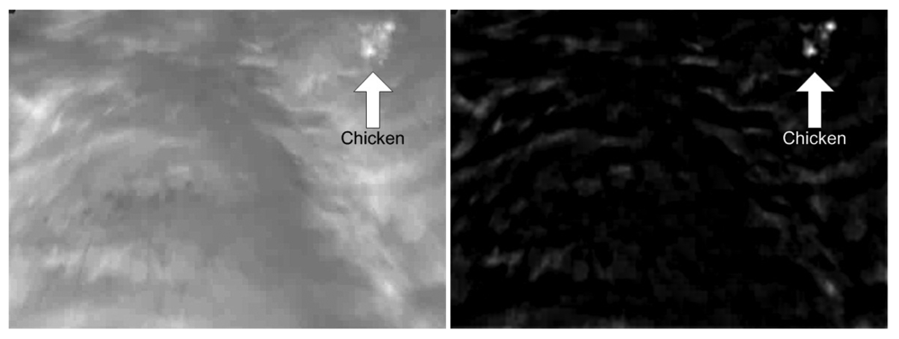 Sensors 12 07587f3 1024