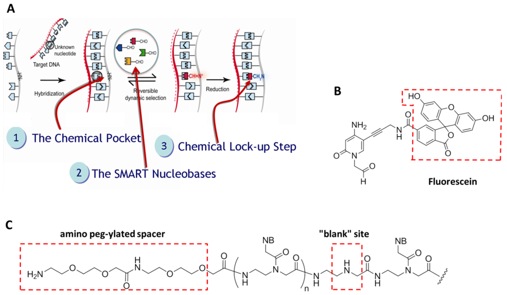 Sensors 12 08100f2 1024
