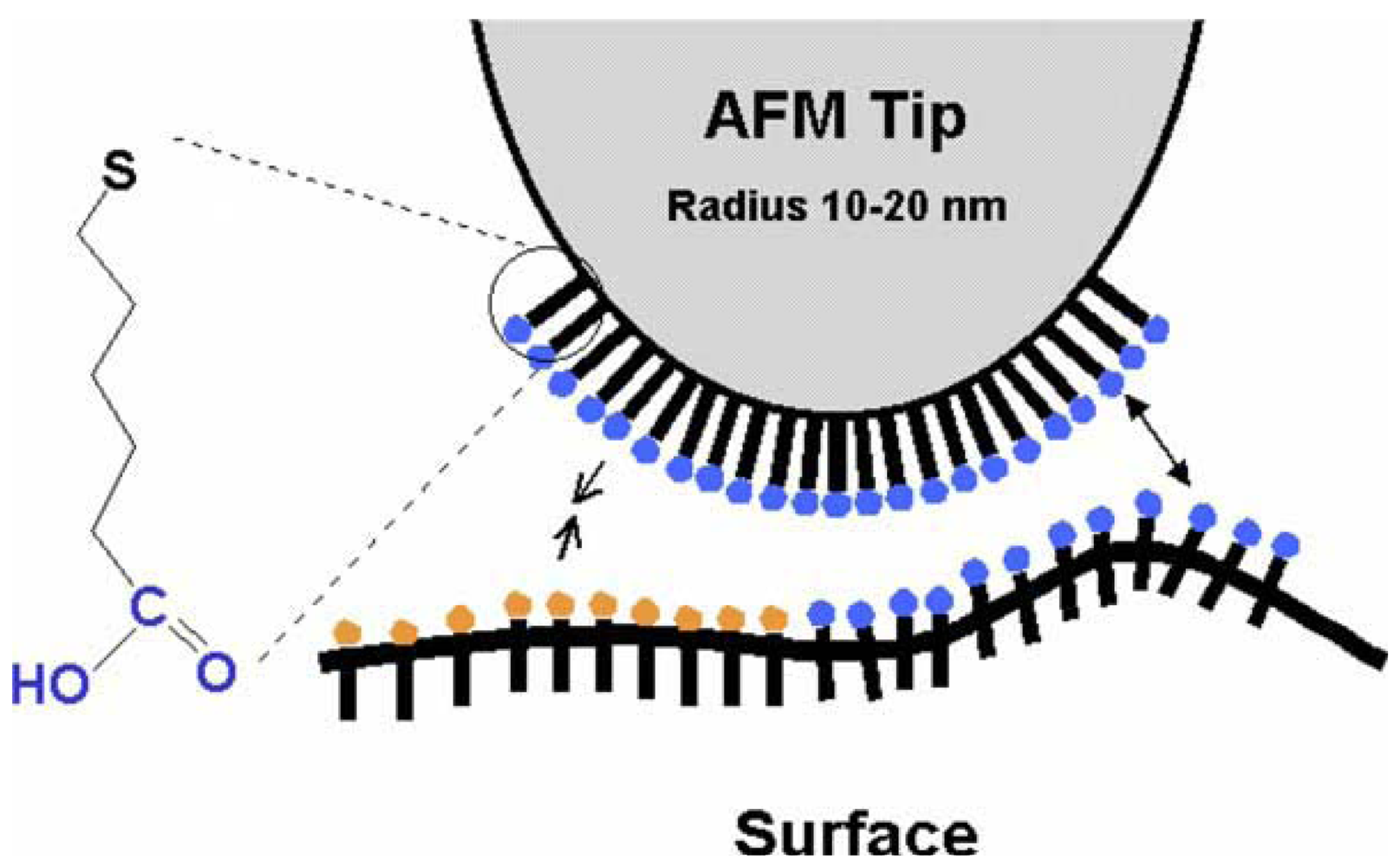 Sensors 12 08278f1 1024