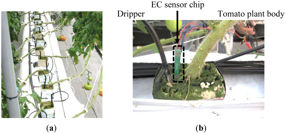 Sensors 12 08338f1 1024