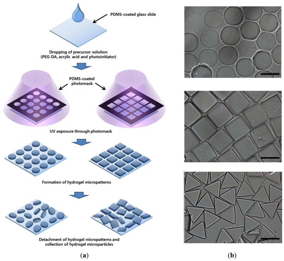 Sensors 12 08426f1 1024