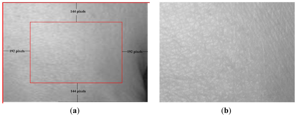 Sensors 12 08691f3 1024
